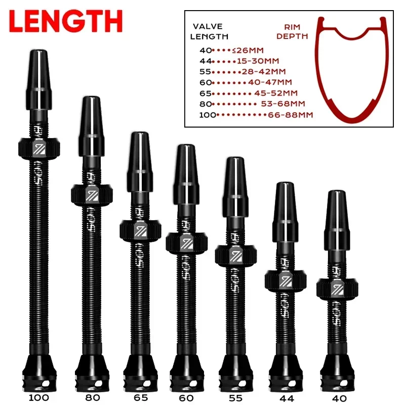 Katup Tubeless Sepeda BUCKLOS  - Tubeless Valve Core ulasan dan harga