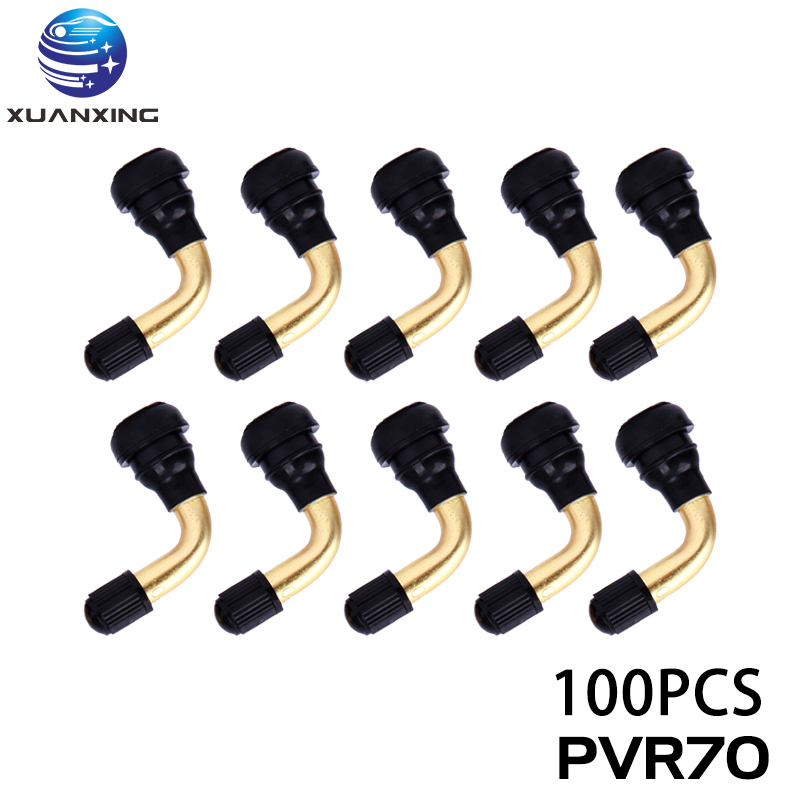 100 Buah PVR70 PVR40 PVR50 PVR - Tubeless Valve Core ulasan dan harga