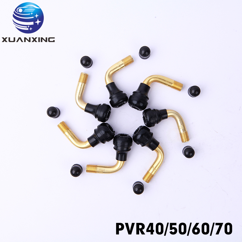 100 Buah PVR70 PVR40 PVR50 PVR - Tubeless Valve Core ulasan dan harga