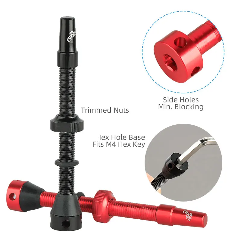 Katup Tubeless Sepeda F/V 44 6 - Tubeless Valve Core ulasan dan harga
