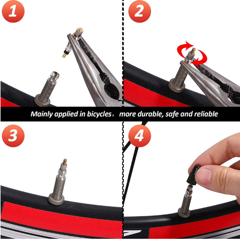 Katup Presta dapat dilepas sep - Tubeless Valve Core ulasan dan harga